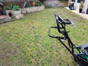 Lawn Vertimowing and Coring