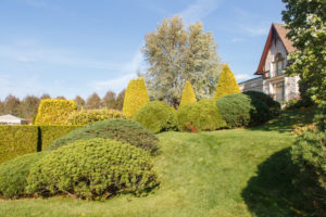 Cottage garden with green Lawn