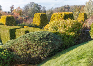 Beautifully maintained Lawn