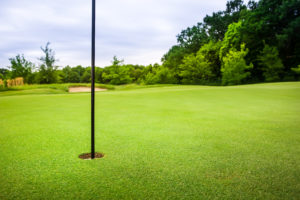Open green golf ground with a pole in middle