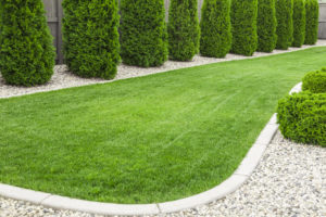 Clean green Lawn
