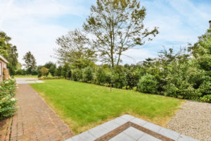 Beautiful Lawn scenery