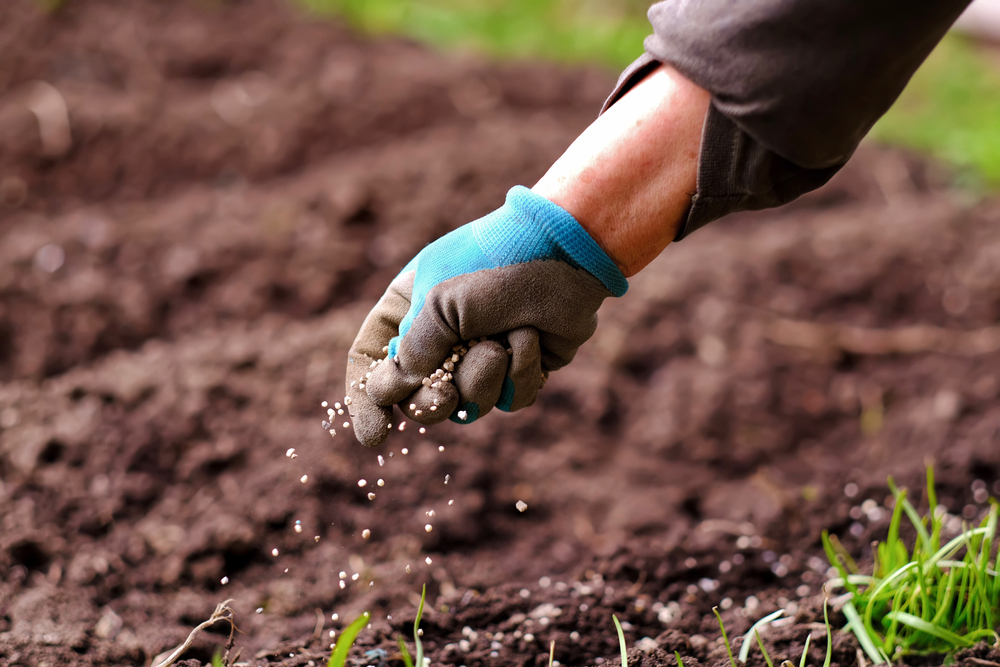 Using fertilisers in garden