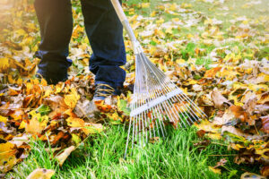Sweeping the garden's dead leaves