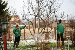 Removing old branches of the tree