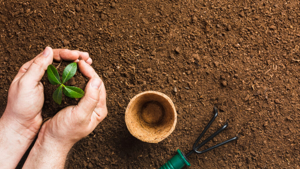 Garden Maintenance
