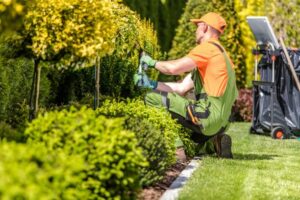 Read more about the article A Step-by-Step Guide to Garden Maintenance in Toronto