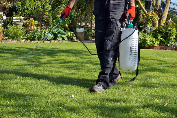 Read more about the article How to Maintain Your Garden Throughout the Seasons in Toronto