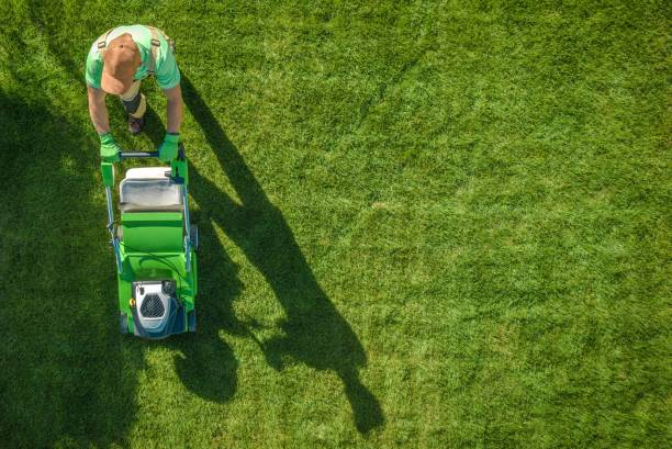 Read more about the article Ten Essential Garden Maintenance Tasks for a Beautiful Yard