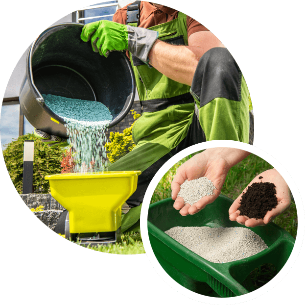 Read more about the article The Ultimate Guide: Best Time to Fertilise Lawn in East York, Toronto