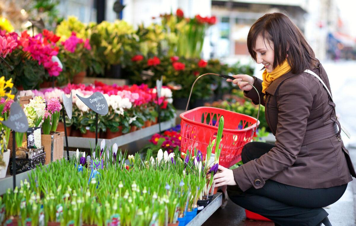 You are currently viewing The Ultimate Guide to the Best Flowering Plants for Gardens in Toronto