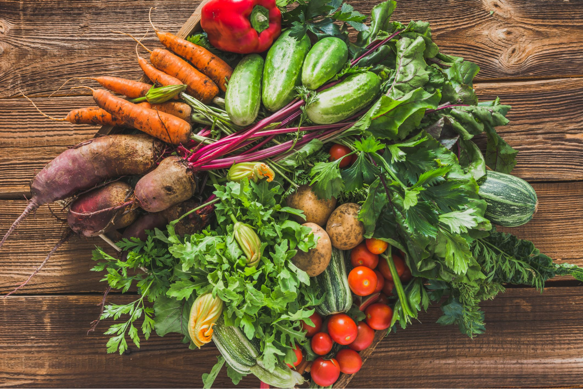 Read more about the article Best Vegetables for a Fall Garden: Tips and Advice