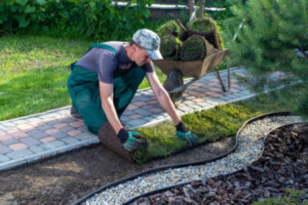 garden-design-and-construction_01-300×200 garden-design-and-construction_01-300x200